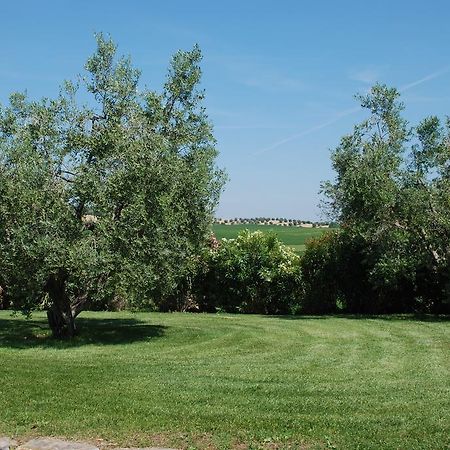 Agriturismo Le Coccinelle Konuk evi Magliano in Toscana Dış mekan fotoğraf