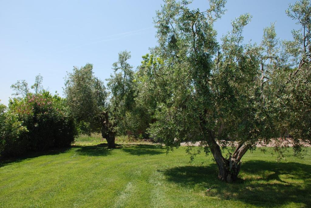 Agriturismo Le Coccinelle Konuk evi Magliano in Toscana Dış mekan fotoğraf