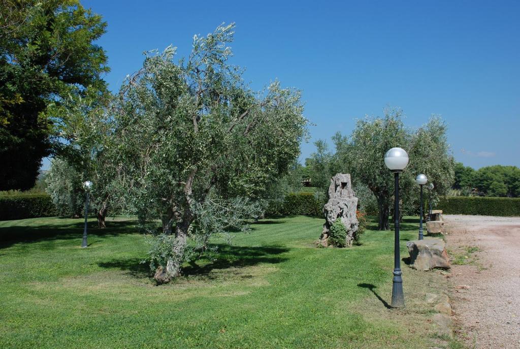 Agriturismo Le Coccinelle Konuk evi Magliano in Toscana Dış mekan fotoğraf
