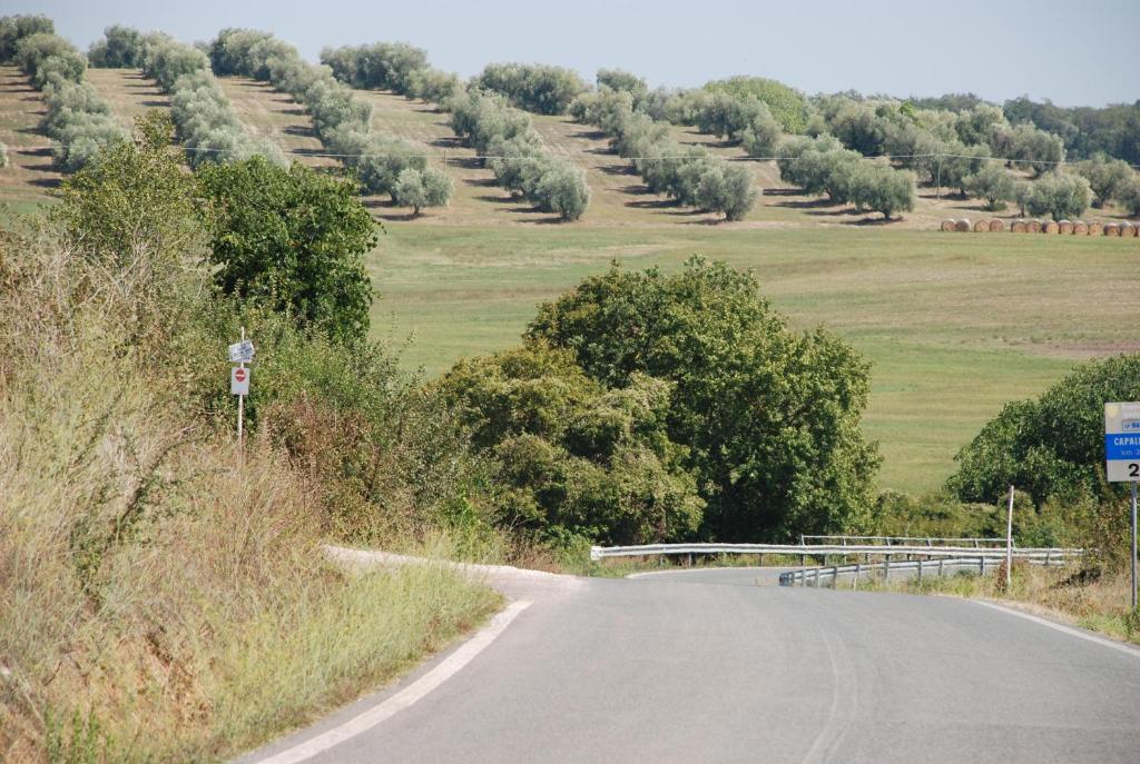 Agriturismo Le Coccinelle Konuk evi Magliano in Toscana Dış mekan fotoğraf
