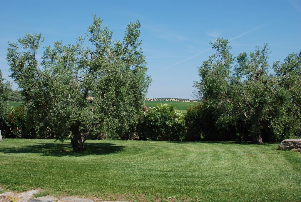 Agriturismo Le Coccinelle Konuk evi Magliano in Toscana Dış mekan fotoğraf