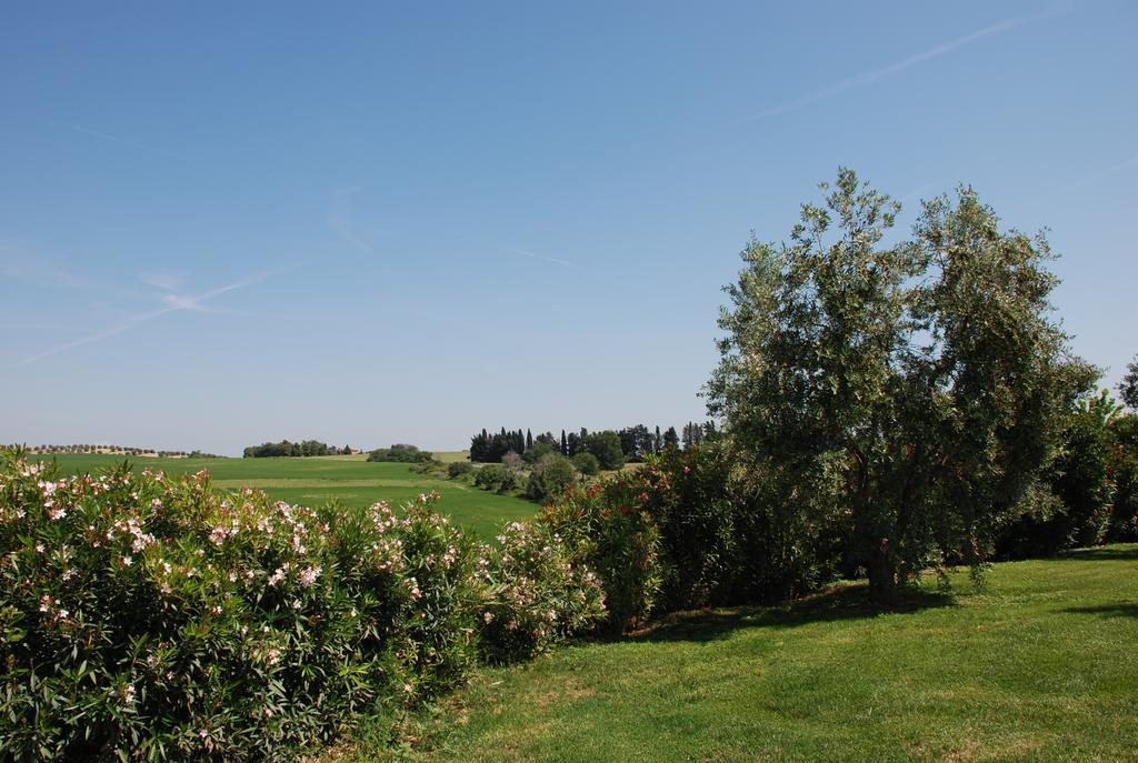 Agriturismo Le Coccinelle Konuk evi Magliano in Toscana Dış mekan fotoğraf