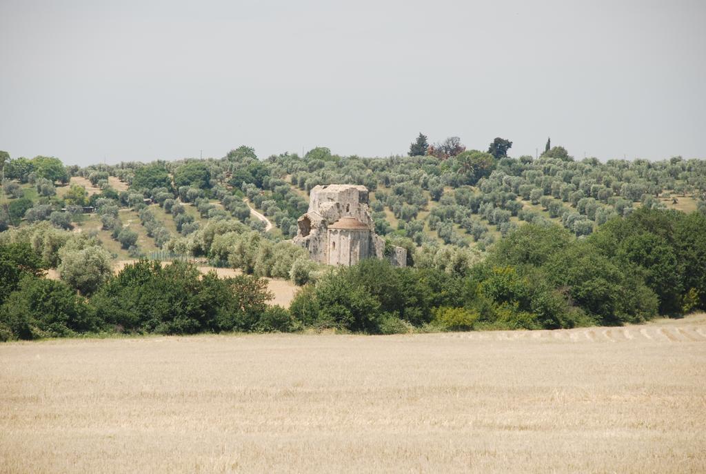 Agriturismo Le Coccinelle Konuk evi Magliano in Toscana Dış mekan fotoğraf